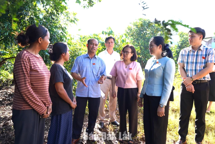 Giám sát công tác giảm nghèo tại xã Ea Hiao