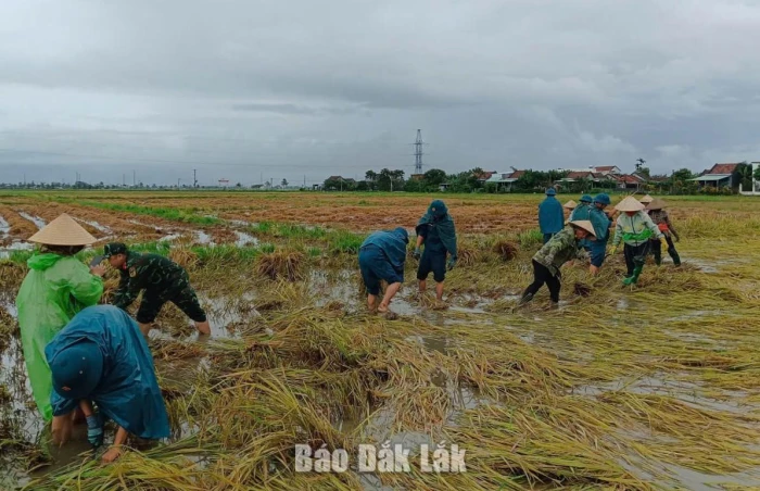Khẩn trương rà soát, báo cáo đánh giá tình hình nguy cơ ngập lụt, lũ quét và sạt lở đất
