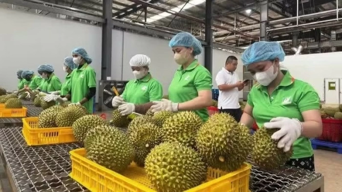 More than 800,000 agricultural products registered for traceability