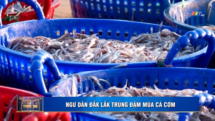 Thời sự 18h30 ngày 27/9/2026