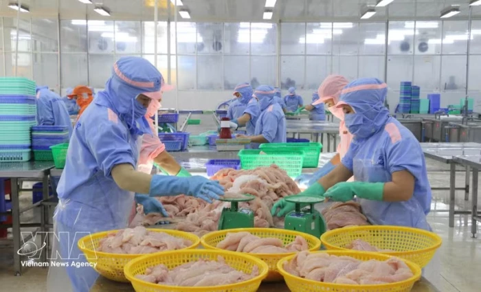 Vietnamese goods gain wider access to EU market