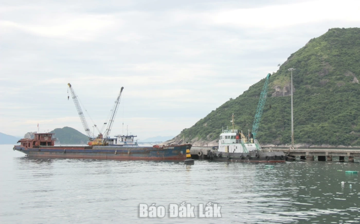 Hòa Xuân yêu cầu di dời lồng, bè khu vực Cảng Vũng Rô trước ngày 21/9/2026