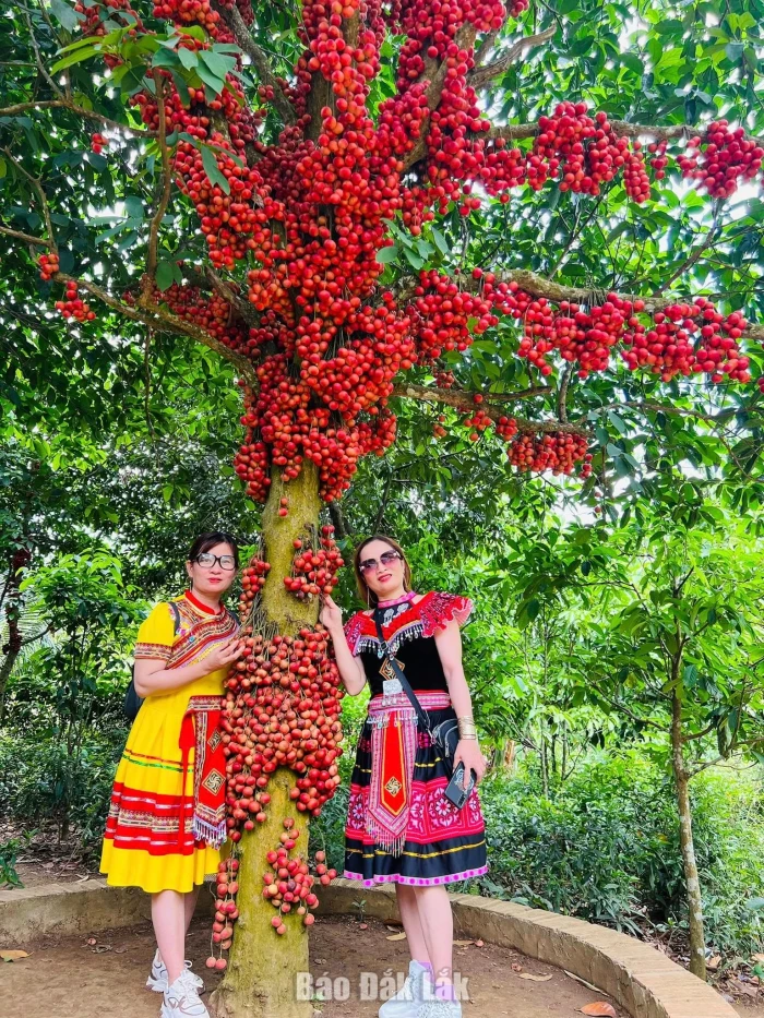 Cao nguyên Vân Hòa giàu tiềm năng du lịch