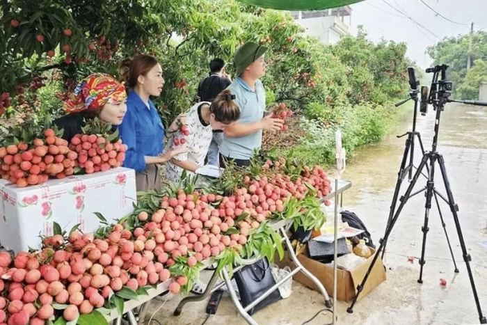 Farm produce goes online, opening wider market access