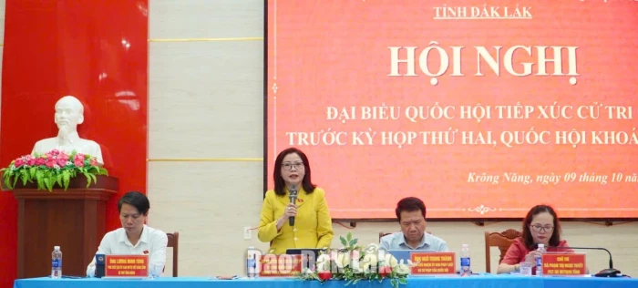Cử tri xã Krông Năng, Dliê Ya kiến nghị đầu tư hạ tầng, ổn định đầu ra nông sản