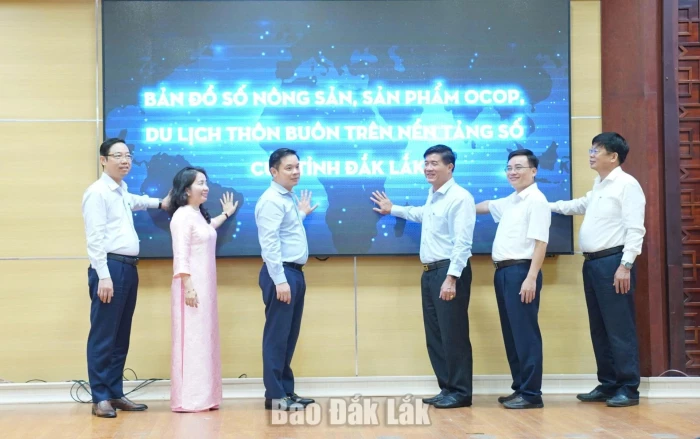 Optimising governance capacity through data