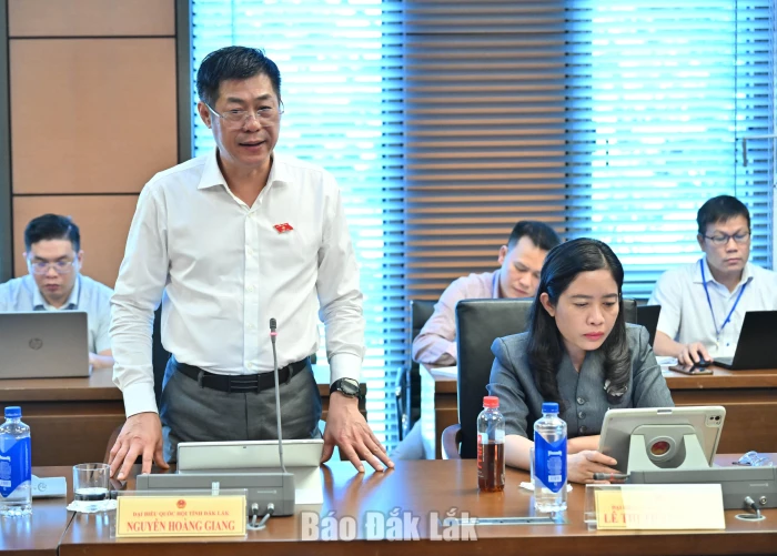 Đoàn ĐBQH tỉnh góp ý hoàn thiện dự thảo luật về môi trường, đầu tư
