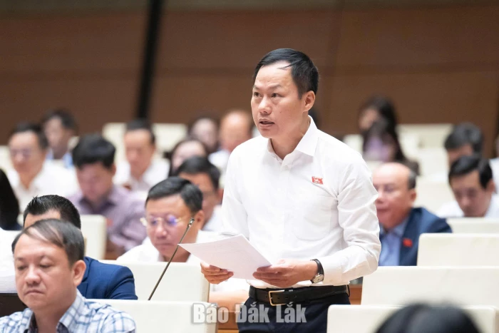 Tháo gỡ vướng mắc đất khai hoang xây dựng các vùng kinh tế mới