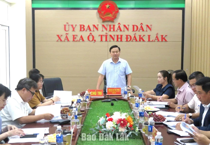 Đoàn Kiểm tra, giám sát số 519 làm việc với Ban Thường vụ Đảng ủy xã Ea Ô