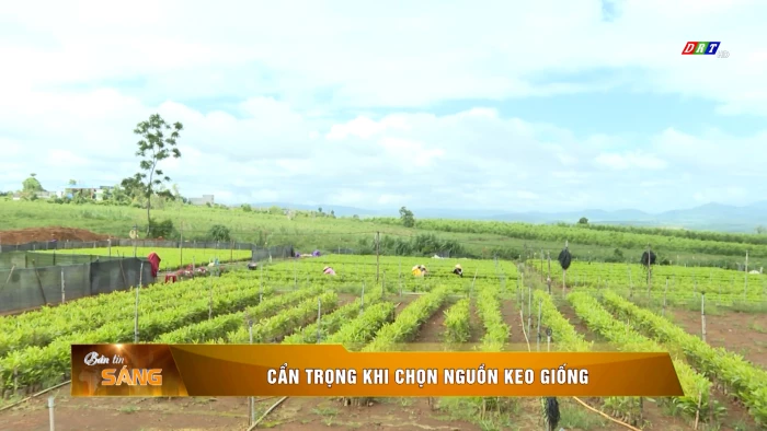 Bản tin sáng ngày 25/10/2026