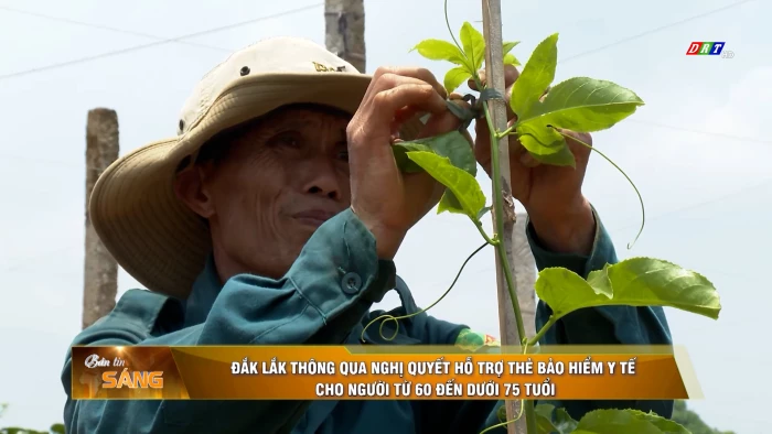 Bản tin sáng ngày 31/10/2026