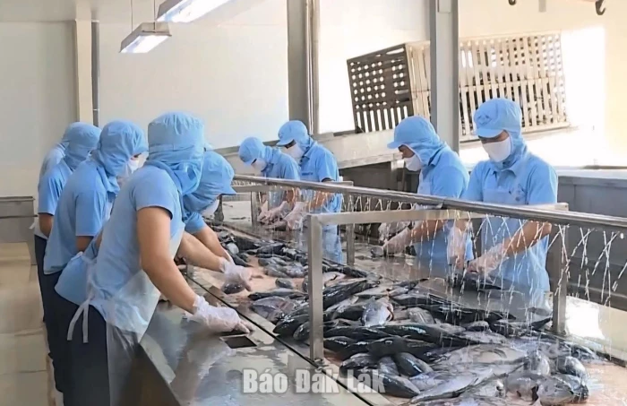 Nỗ lực duy trì đà tăng trưởng