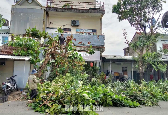 Hòa Mỹ chỉnh trang cảnh quan, lập lại trật tự khu vực chợ Phú Nhiêu