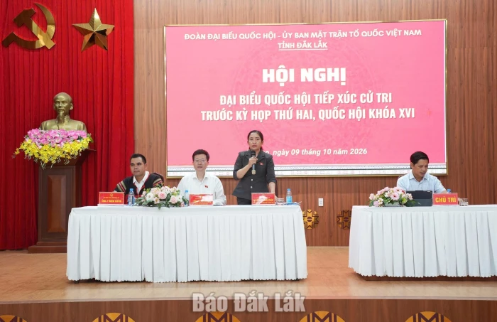 Cử tri kiến nghị nhiều vấn đề về đất đai, an sinh xã hội