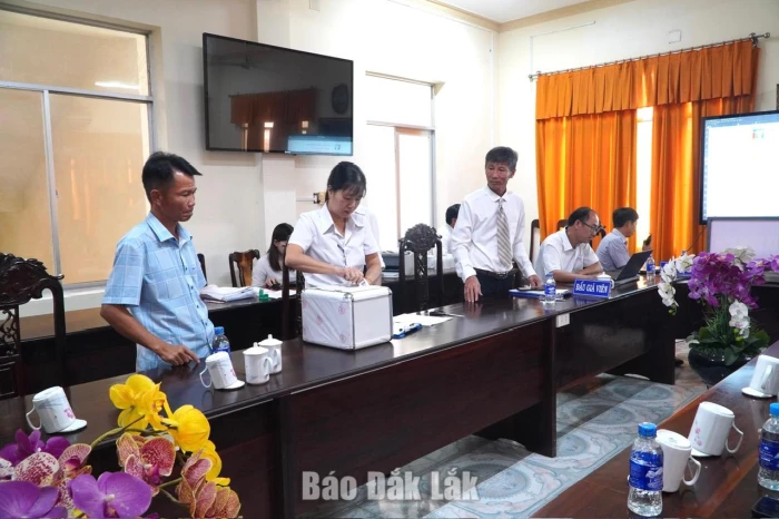 Xã Sông Hinh đấu giá 35,37 ha keo, bạch đàn gần 6,5 tỷ đồng