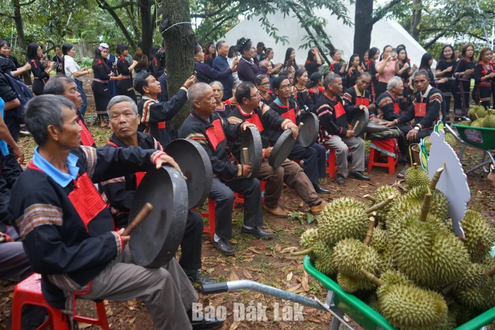 Nghị quyết số 26: Mở không gian, hành trình du lịch mới