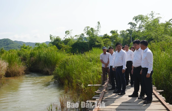Bí thư Tỉnh ủy Lương Nguyễn Minh Triết kiểm tra công tác phòng, chống thiên tai tại xã Đồng Xuân