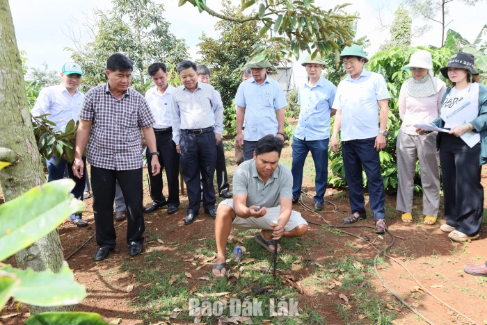 Phó Chủ tịch UBND tỉnh Nguyễn Thiên Văn kiểm tra các mô hình phòng, chống hạn hán thuộc Dự án SACCR