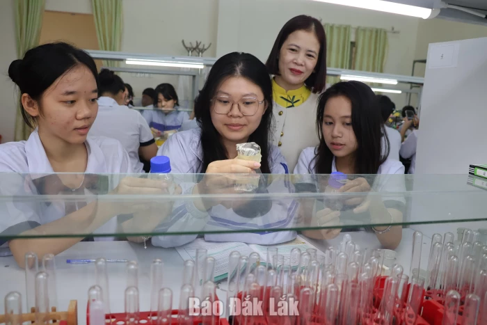 Sở Giáo dục và Đào tạo xét thăng hạng cho 3.255 viên chức