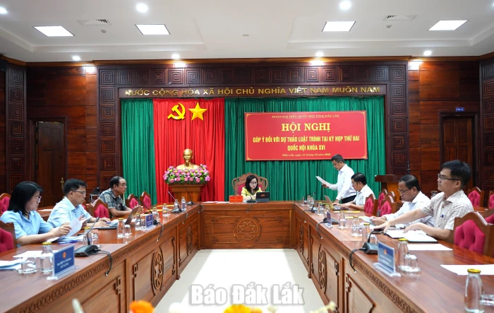 Đoàn ĐBQH tỉnh lấy ý kiến góp ý đối với 8 dự thảo Luật thuộc lĩnh vực tư pháp, y tế, an sinh xã hội