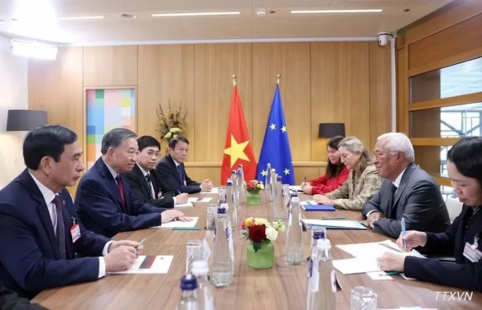 Top leader holds talks with European Council President