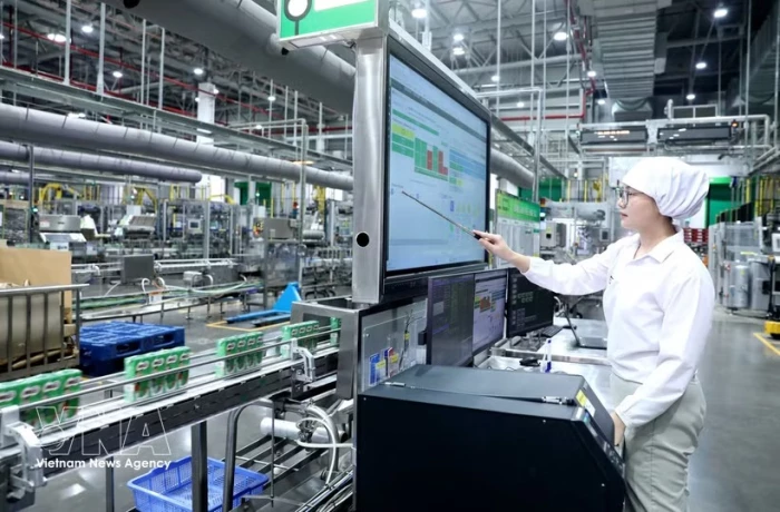 Viet Nam remains growth bright spot in Southeast Asia