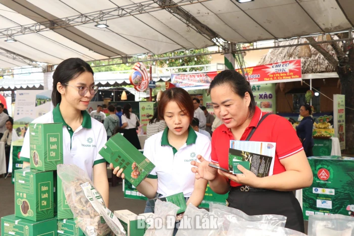 Tiếp nhận hồ sơ dự thi Cuộc thi Khởi nghiệp đổi mới sáng tạo tỉnh Đắk Lắk năm 2026