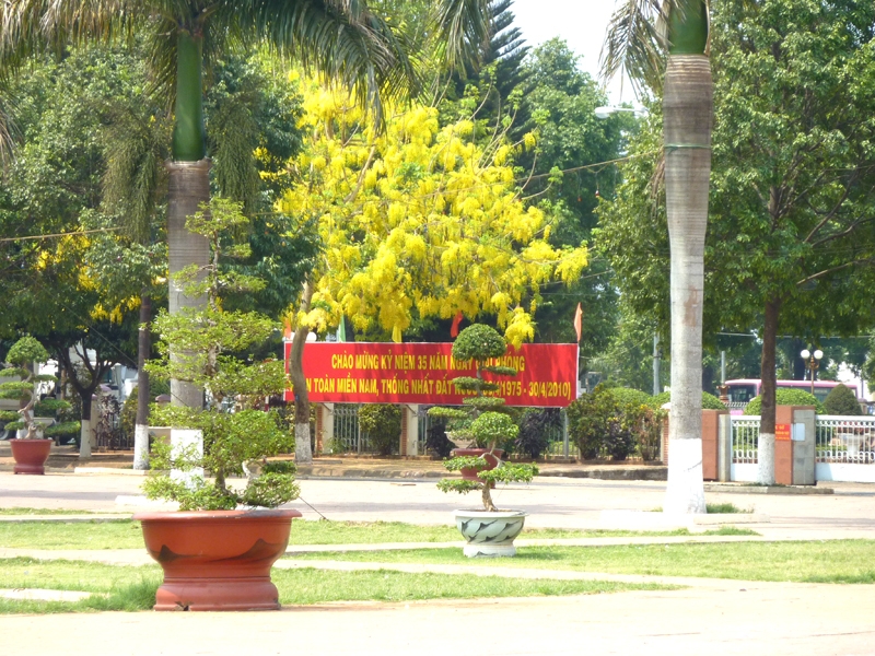 Nhuộm vàng cả không gian