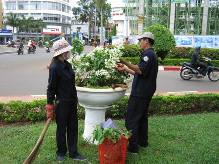 Anh Vũ Văn Bốn cùng đồng nghiệp cắt tỉa hoa chậu trên đường Nguyễn Tất Thành.