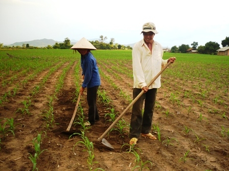 Anh Lãnh Văn Toàn.