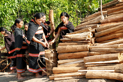 Thiếu nữ Giẻ Triêng chuẩn bị củi hứa hôn để "bắt chồng". Ảnh: Thanh Niên