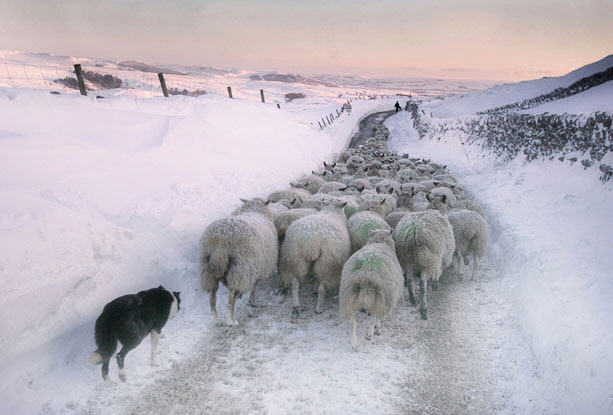 Malham Moor vào đông, North Yorkshire - Stephen Garnett