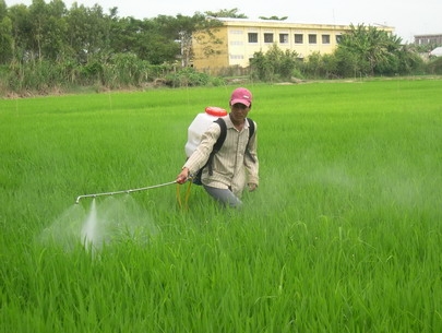 Trạng bị bảo hộ lao động thích hợp khi phun thuốc trừ sâu. (Ảnh: T.L)