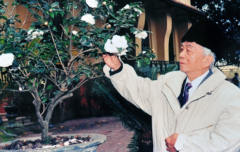 Hoa bạch trà trước sân nhà riêng 30 Hoàng Diệu của đại tướng, loài hoa ông ưa thích