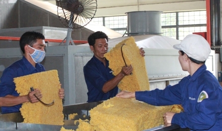 Cao su. một trong những mặt hàng có kim ngạch xuất khẩu cao trong tháng đầu năm