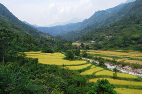 Phố Là thanh bình. Ảnh: 