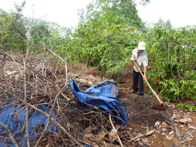 Nhiều nông dân đã biết tự sản xuất phân vi sinh từ vỏ cà phê để thay thế phân hóa học sau khi tham gia các tổ chức sản xuất cà phê bền vững.