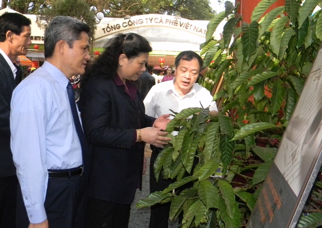 Đồng chí Tòng Thị Phóng tham quan cây cà phê được trưng bày tại triển lãm