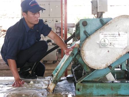 Công ty Cao su Dak Lak là đơn vị đầu tiên của tỉnh được cấp chứng nhận hệ thống quản lý môi trường theo tiêu chuẩn ISO 14001:2004