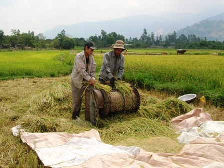 Đồng bào dân tộc thiểu số đã từng bước tiếp cận được với khoa học kỹ thuật để đem lại năng suất cao trong sản xuất nông nghiệp.