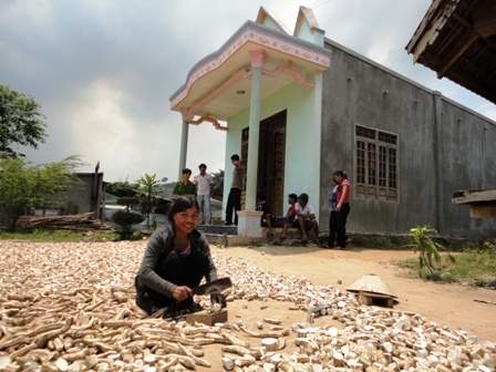 Niềm vui được mùa mì của người dân buôn Cư Đ'răm (xã Cư Đ'răm, huyện Krông Bông). Ảnh: Lệ Văn