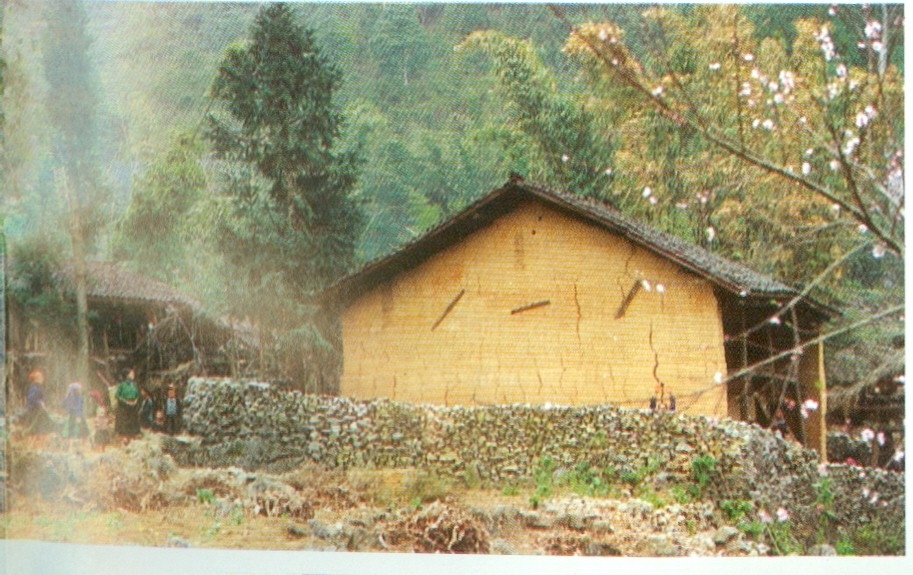 Nhà ở của người Cờ Lao