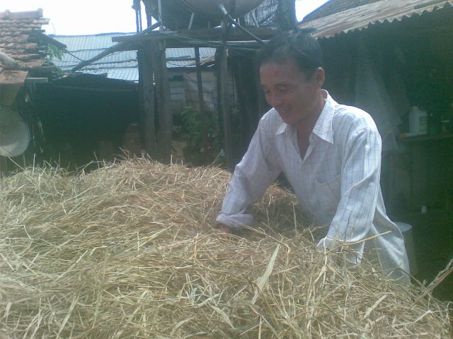 Anh Lương Văn Sơn đang ủ rơm làm nấm.