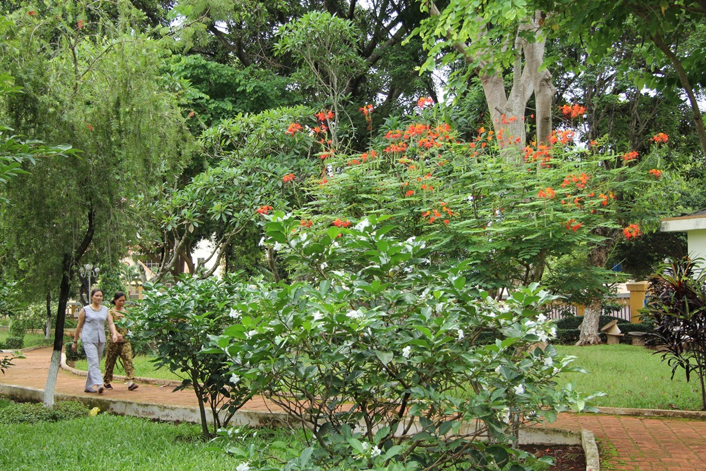 Ẩn mình sớm ban mai...
