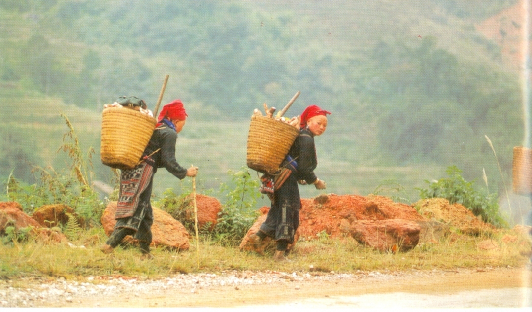 Người Dao ở Lào Cai