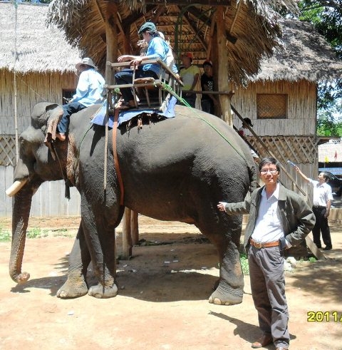 Thường mỗi chuyến voi phải chở từ 3-5 khách trở lên.