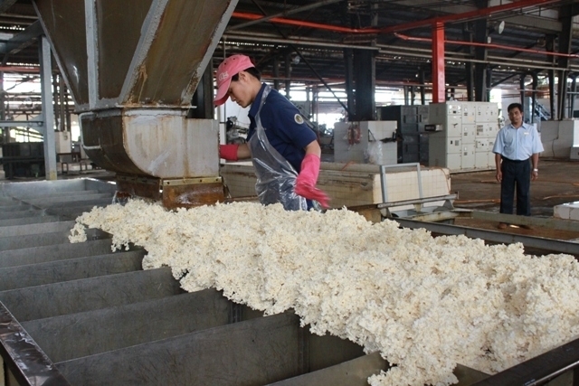 Khai thác thế mạnh của từng địa phương