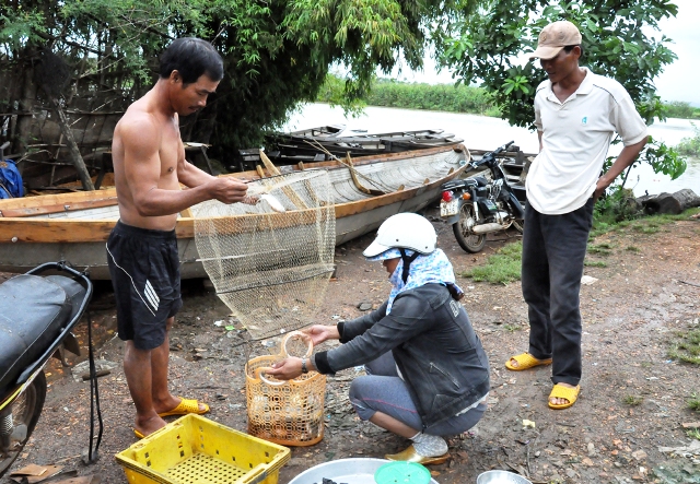 Cá vừa đánh bắt được đã được bán ngay tại một điểm thu mua bên sông.