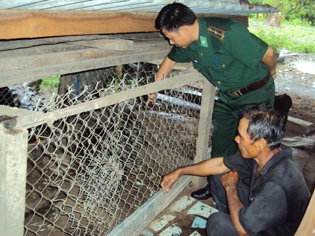 Cán bộ Đồn Biên phòng Ia R’vê hướng dẫn kỹ thuật nuôi nhím cho gia đình ông Nguyễn Văn Sánh.