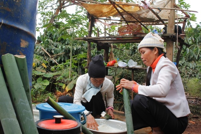 Từ sáng sớm, người dân trong buôn đã thức dậy để làm các món ăn